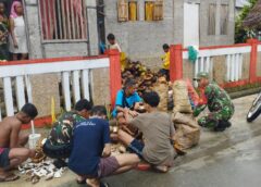 Babinsa Niwelehu Bersama Warga Laksanakan Karya Bakti Olah Kelapa Menjadi Kopra