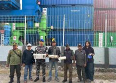 Tim Gabungan Kodaeral XIV Gagalkan Penyelundupan Satwa Dilindungi di KM Dobonsolo