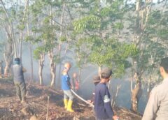Kebakaran Lahan Seluas 5 Hektare Terjadi di Cikelet, Polisi Bersama Damkar dan Warga Lakukan Pemadaman