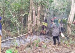 Karyawan ABK PT SIM Berjibaku Padamkan Api Di Perbatasan Perkebunan Pisang Dusun Waitoso