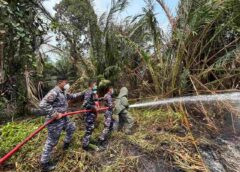 Tim Penanggulangan Kebakaran Kodaeral XIV Padamkan Karhutla di Lahan Gambut Warmon Kab Sorong Papua Barat Daya
